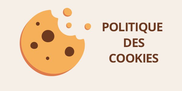 RGPD : politique des cookies